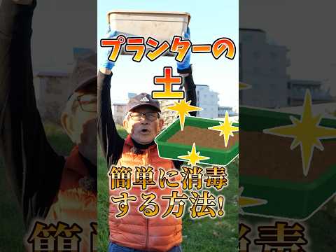 大雨の不都合から植物を守ります