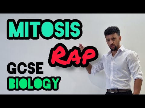 Science Raps: GCSE Biology - Cell Division