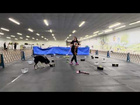 Maverick Elite Containers: week 1