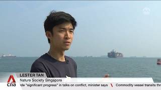 Singapore nature groups fear biodiversity loss from proposed western island project