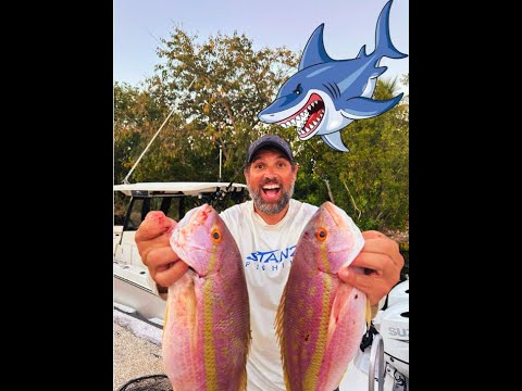 Ep 25 Flag Yellowtail, Spade Fish and Epic Bull Shark Fight!