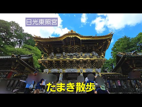 たまき散歩　日光東照宮（2025年8月）