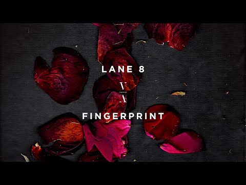 Lane 8 Video