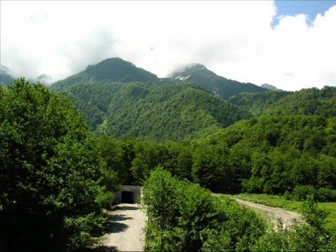 Aerium - Terai (Paul Miller Remix)