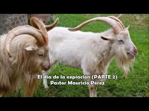 Levítico 16 (PARTE 2).  El día de la expiación.  Pastor Mauricio Pérez