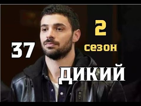 Дикий 37 турк тв. Дикий 37 турк тв. Дикий 37 турк тв. Дикий 37 турк тв. Дикий 37 турк тв.