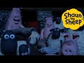 Shaun the Sheep 🐑 Pig Attack! - Cartoons for Kids 🐑 Full Episodes Compilation [1 hour]