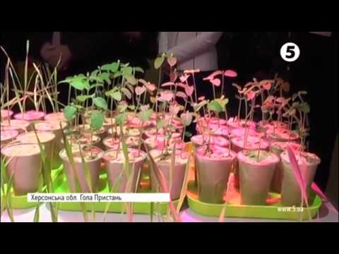 Открытие репортаж