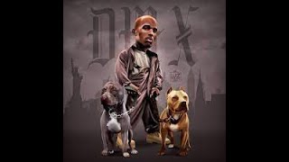 DMX   Gotti Style