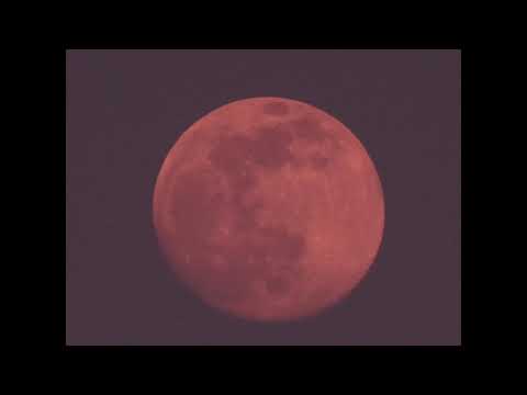 LOVO BLANCO - ΤΕΚΕΣ    (#26510)