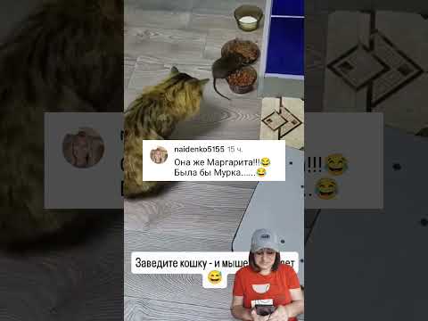 Марго😂
