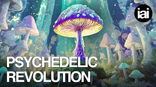 Are we ready for a psychedelic revolution? | Shayla Love, Kevin Sabet, Matthew Johnson