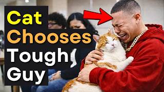 We Let Cats Pick Their Families on Adoption Day And THIS Happened ❤️