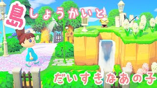 あつ森島紹介♪【飛行場周り～遊園地】ノーカットで島をお散歩！リッキーの誕生日会も♪