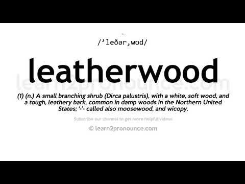 How to pronounce Leatherwood | English pronunciation