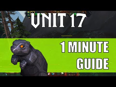 Unit 17 - Mechagon Pet Battle 1 Minute Guide
