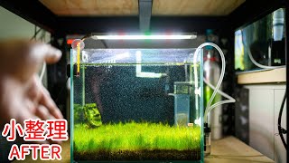 微整理 | 刷一刷一呎缸 DIY冷水機重新配線 rescape nano tank and rebuild Peltier cooler | 🎧 put on your headphones