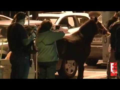 Miley na sua festa de aniversário (22/11/2011) [Miley at her Birthday Party] 19 years