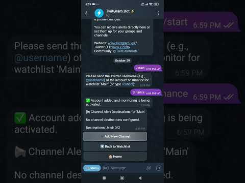Dapp youtube preview