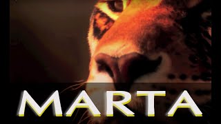 D-EDGE - Marta (from Colossal Album)