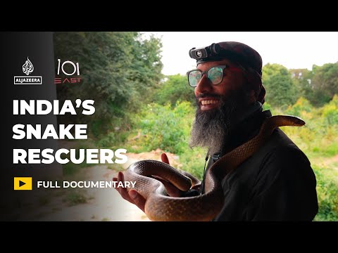 India’s snake rescuers: Can humans and serpents coexist in a megacity? | 101 East Documentary