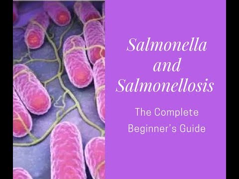 Salmonella and Salmonelliosis A Complete Beginner's Guide