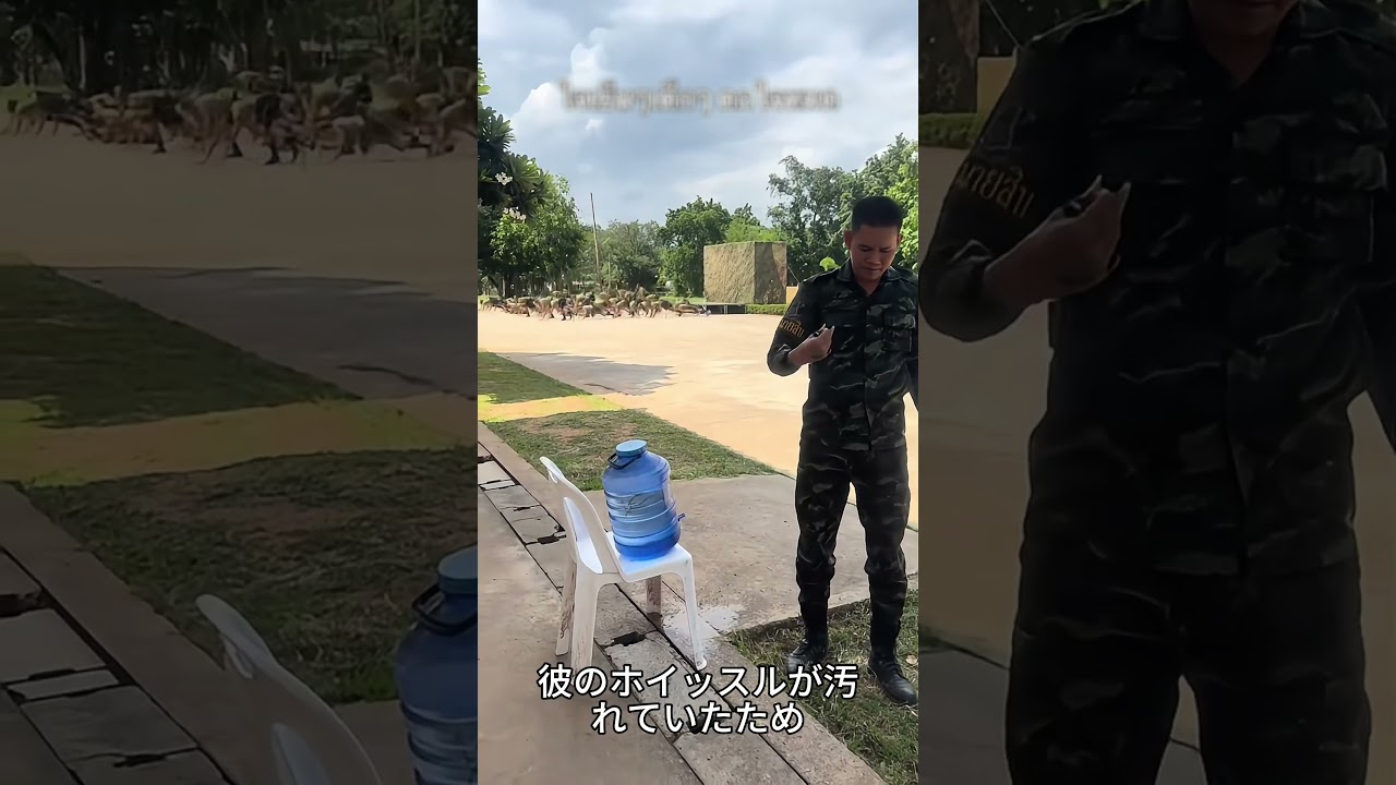 😮 指揮官は自分の目を疑いました！