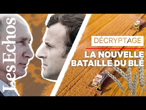 Comment la Russie torpille le blé français