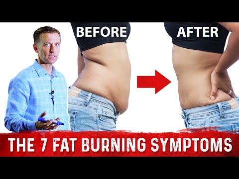 The Ultimate Fat Burning Guide Dr Berg s Webinar on Maximum Weight Loss