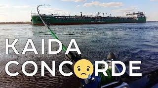 Удочка для троллинга что это