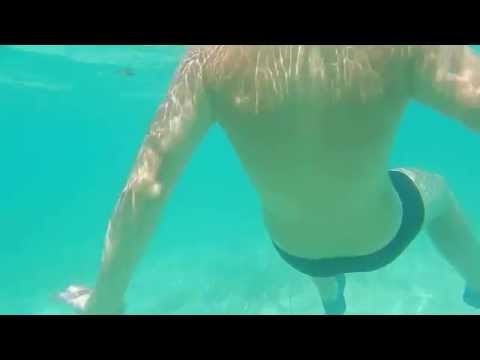 muszla don lino cuba