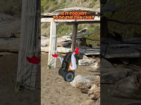 down at the beach doing the cha cha  #WheresBuddy #Buddy #worx #landroid  #chacha #loveshack #dance