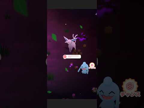 史学科 ポケモンスリープ　クレセリアイベント　2025/4/2