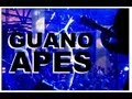 Галилео. Guano Apes 