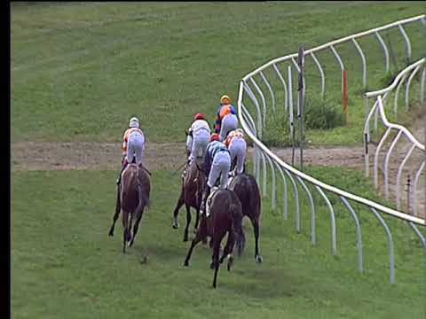 Galoppo 11/06/2019 - 3ª corsa