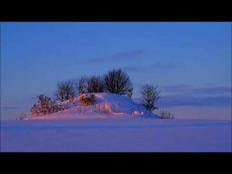 Udo Pollmer im Schweizer Radio über Gluten, Vegetarismus, Backhandwerk und Zöliakie