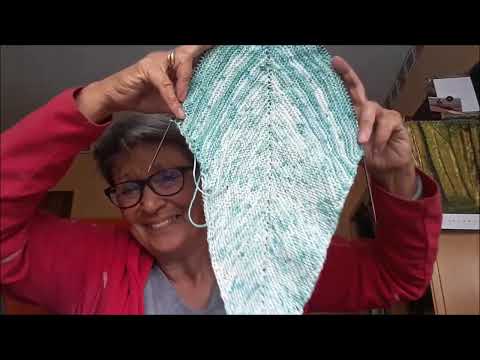 Maschenbilder 141 - Fortschritte + unboxing Woolpedia Paket