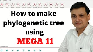 How to make phylogenetic tree using mega 11 or Mega XI | Mega software