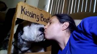 Behind the scenes - dog kissing booth