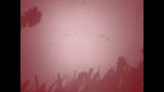 Momus: Unreconstructed