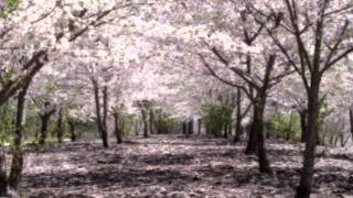 La vie en rose SUBTITULADA