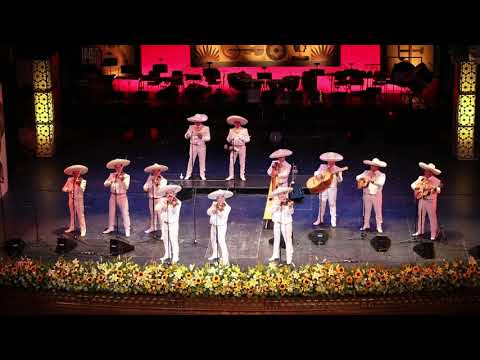 El Gavilancillo - Mariachi Los Camperos