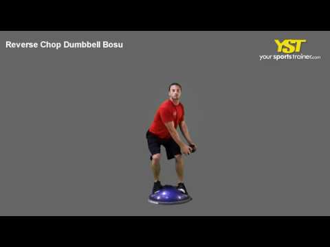 Reverse Chop Dumbbell Bosu