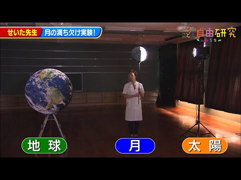 動物はどのようにして正しい月の満ち欠けを認識するのでしょうか?