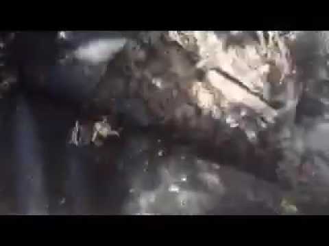 Hanes Geo componets weed barrier is junk Hanes Geo componets weed barrier is junk