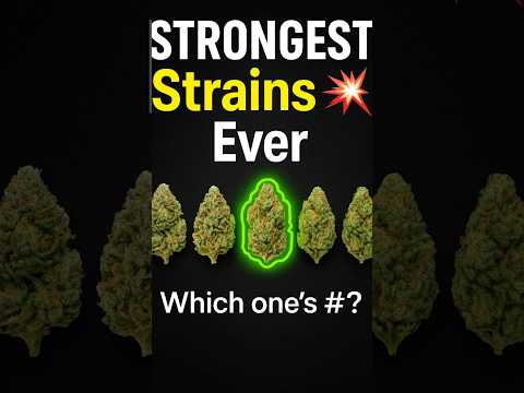 5 Strongest Cannabis Strains of All Time 🔥