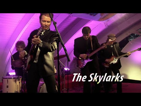 The Skylarks - Proud Mary