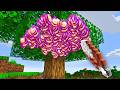 Minecraft But It Gets Too Lucky