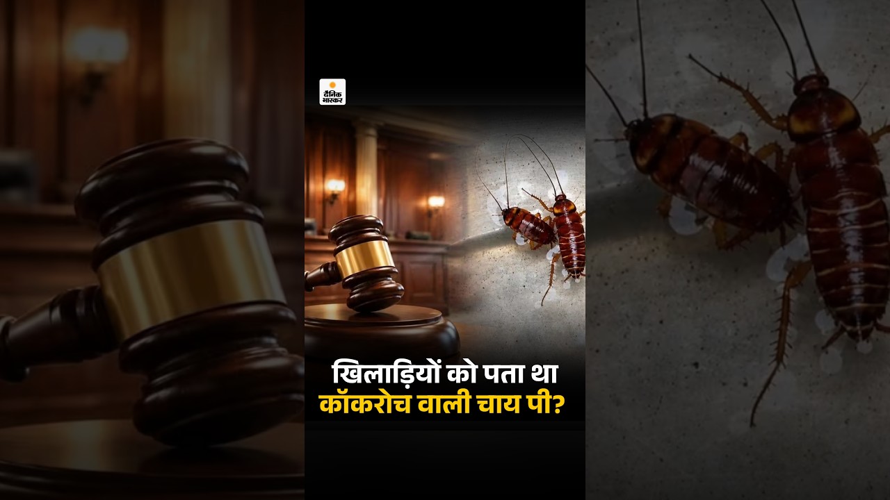 Bombay HC On MCA Restaurant Hygiene Controversy: क्या खिलाड़ियों को पता था कॉकरोच वाली चाय पी