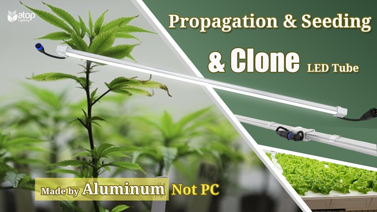 Atop Clone LED, 30W Seeding & Clone Light Introduction
